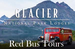 Glacier Park Red Bus Tours